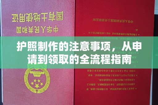 火炬护照制作的注意事项，从申请到领取的全流程指南